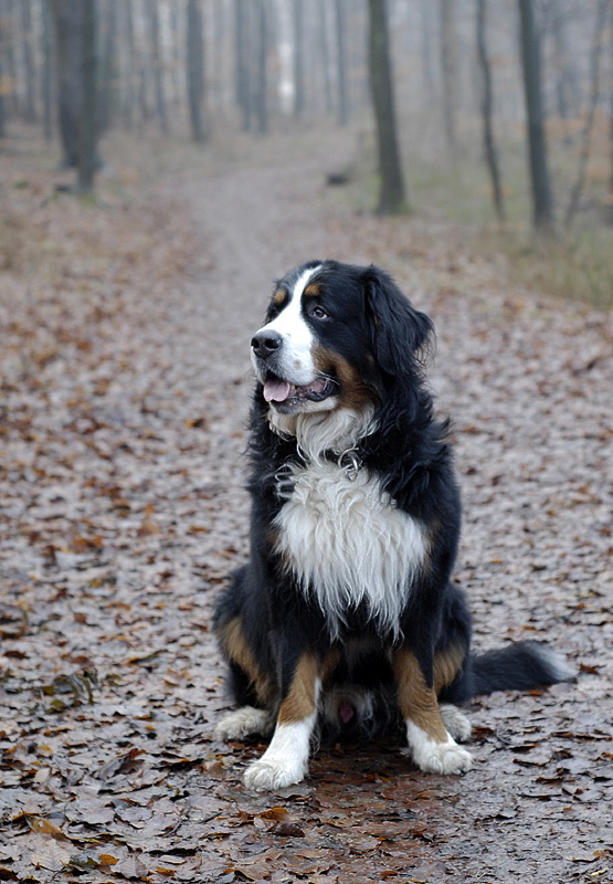 Anton_DSC2341 Kopie.jpg   26.04.jpg